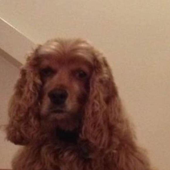 Meet your Posher, Mararusty - Picture 2 of 2